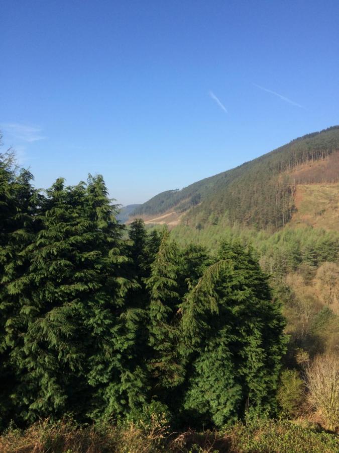 Rowan House Bed Breakfast Main House & Self Contained Self Catering Apartment Cymmer Buitenkant foto