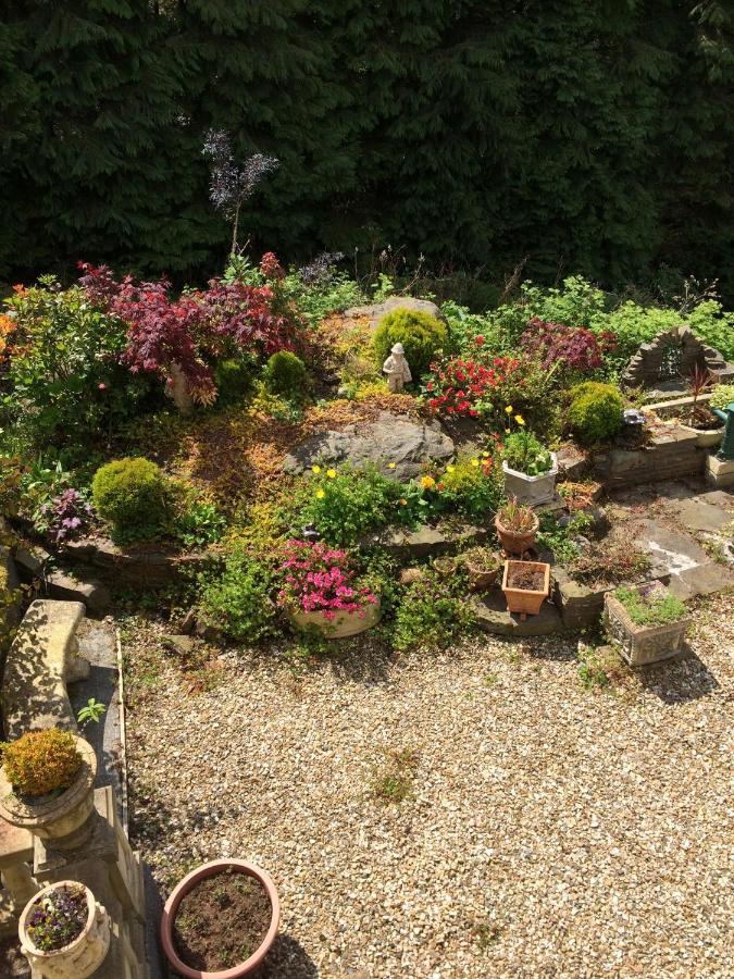Rowan House Bed Breakfast Main House & Self Contained Self Catering Apartment Cymmer Buitenkant foto