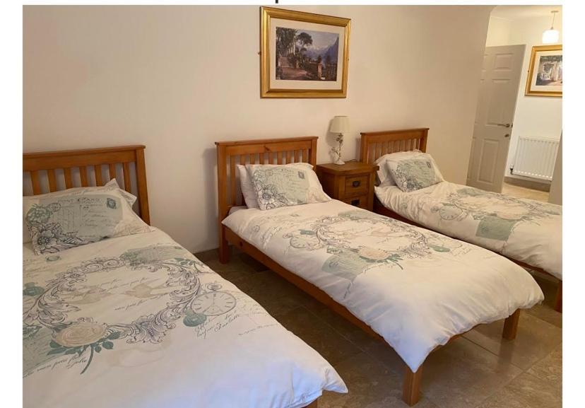 Rowan House Bed Breakfast Main House & Self Contained Self Catering Apartment Cymmer Buitenkant foto
